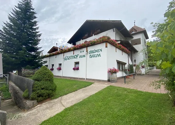 Gasthof Zum Gruenen Baum Verano photo