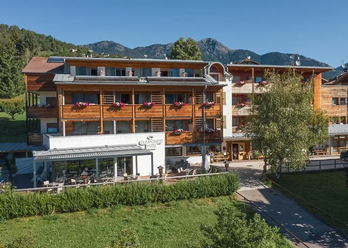 Olimpionico Hotel Castello-Molina di Fiemme photo