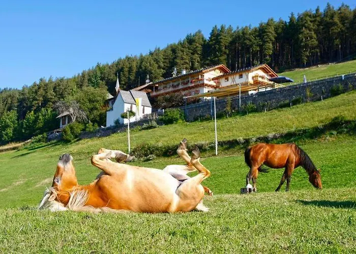 Gasthaus Bad Siess Longostagno photo