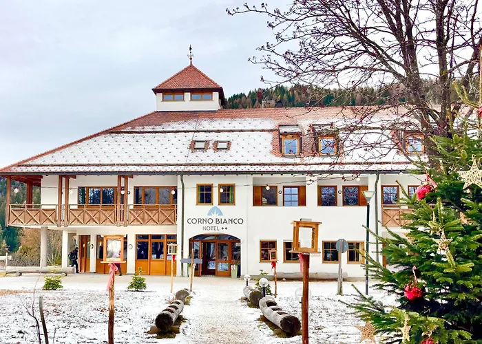 Hotel Corno Bianco Nova Ponente photo