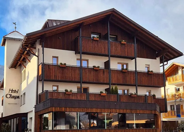 Hotel Olaga Valdaora di Sotto photo