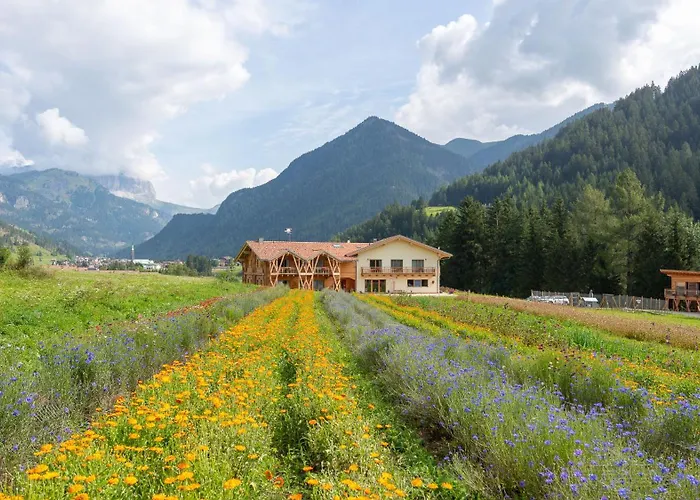 Eco-Green Fiores Agriturismo Vigo di Fassa photo