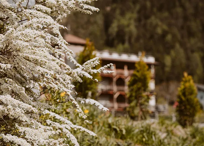 Hotel Bergschloessl Luson photo
