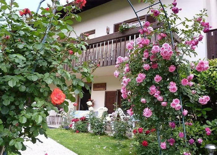 Garni Rebhof Hotel Nalles photo