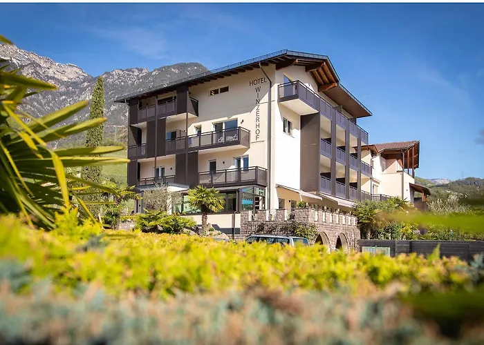 Hotel Winzerhof Termeno photo