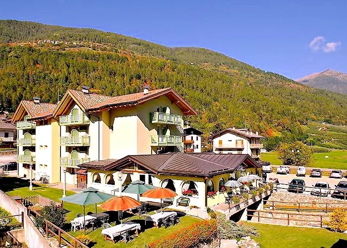 Hotel Monclassico photo